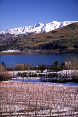 cold;crop;crops;cultivation;farm;farming;farms;field;fields;grape;grapes;grapevine;horticulture;lake;lakes;mountain;mountains;rural;snow;vine;vines;vineyard;vineyards;vintage;wine;wineries;winery;wines;winter
