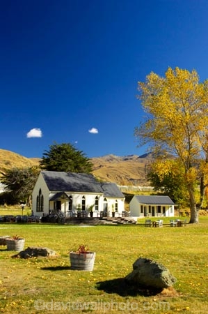 autuminal;autumn;autumnal;building;buildings;central-otago;central-otago-vineyard;central-otago-vineyards;central-otago-wineries;central-otago-winery;church;churches;color;colors;colour;colours;country;countryside;deciduous;fall;field;fields;Gibbston-Valley;gibston;heritage;historic;historical;history;leaf;leaves;New-Zealand;old;Queenstown;rural;South-island;tree;trees;vine;vines;vineyard;vineyards;vintage;Waitiri-Creek-Wines;wine;wineries;winery;wines