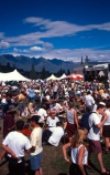 vine;vines;vineyard;vineyards;wine;wines;winery;wineries;grape;grapes;vintage;ultivation;rural;harvest;food;event;people;party;crowd;crowds;tent;tents;tent-city;summer;music;eating;tasting;testing;people