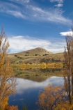 autuminal;autumn;autumn-colour;autumn-colours;autumnal;calm;color;colors;colour;colours;deciduous;fall;lake;Lake-Hayes;lakes;leaf;leaves;N.Z.;New-Zealand;NZ;Otago;placid;poplar-tree;poplar-trees;Queenstown;quiet;reflection;reflections;S.I.;season;seasonal;seasons;serene;SI;smooth;South-Is;South-Is.;South-Island;Southern-Lakes;Southern-Lakes-District;Southern-Lakes-Region;still;tranquil;tree;trees;water;willow-tree;willow-trees