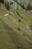 Arrow-River-Bridges-Ride;Arrowtown;Arrowtown-cycle-track;Arrowtown-cycle-trail;bicycle;bicycles;bike;bike-track;bike-tracks;bike-trail;bike-trails;bikes;biking;cycle;cycle-track;cycle-tracks;cycle-trail;cycle-trails;cycler;cyclers;cycles;cycling;cyclist;cyclists;Gibbston;Gibbston-Valley;leisure;mountain-bike;mountain-biker;mountain-bikers;mountain-bikes;mtn-bike;mtn-biker;mtn-bikers;mtn-bikes;N.Z.;New-Zealand;NZ;Otago;people;person;push-bike;push-bikes;push_bike;push_bikes;pushbike;pushbikes;Queenstown-Bike-Trail;Queenstown-Cycle-Trail;Queenstown-Trail;Queenstown-Trails;recreation;S.I.;SI;South-Is;South-Island;Southern-Lakes;Southern-Lakes-District;Southern-Lakes-Region;Sth-Is;tourism;tourist;tourists