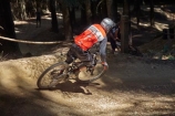 bicycle;bicycles;bike;bikes;cycle;cycler;cyclers;cycles;cyclist;cyclists;downhill;forest;forests;mountain-bike;mountain-biker;mountain-bikers;mountain-bikes;mtn-bike;mtn-biker;mtn-bikers;mtn-bikes;N.Z.;New-Zealand;NZ;Otago;push-bike;push-bikes;push_bike;push_bikes;pushbike;pushbikes;Queenstown;Queenstown-Mountain-Bike-Park;S.I.;SI;South-Is;South-Is.;South-Island;Southern-Lakes;Southern-Lakes-District;Southern-Lakes-Region;Sth-Is;track;tracks;tree;trees