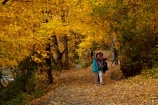 Arrow-River;Arrowtown;autuminal;autumn;autumn-colour;autumn-colours;autumnal;color;colors;colour;colours;deciduous;fall;gold;golden;hiking-path;hiking-paths;hiking-trail;hiking-trails;leaf;leaves;N.Z.;New-Zealand;NZ;Otago;path;paths;pathway;pathways;people;person;Queenstown;route;routes;season;seasonal;seasons;South-Is;South-Island;Sth-Is;tourism;tourist;tourists;track;tracks;trail;trails;tramping-trail;tramping-trails;tree;trees;walking-path;walking-paths;walking-trail;walking-trails;walkway;walkways;yellow