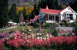 holiday;holidays;vacation;vacations;queenstown;lake-wakatipu;wakatipu;new-zealand;scene;scenes;tourism;farm-house;farmsted;ranch;walter-peak-station;walter-peak;flowers;pink;flower;restaurant;restaurants;cafe;cafes