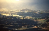 grass;green;farm;farms;farming;paddock;paddocks;field;fields;pasture;pastures;meadow;meadows;agriculture;rural;afternoon;afternoon-light;light