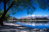 Queenstown;Central-Otago;Lake-Wakatipu;Wakatipu;remarkables;the-remarkables;lake;lakes;tree;trees;willow;willows;weeping-willows;water;blue;green;mountain;mountains;shore;beach;stones;stone;overhang;overhanging;shade;shadow;reflect;reflection;reflecting;distance;distant;houses;summer;holiday;holidays;vacation;vacations;toursim
