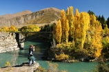 Autumn;bridge;bridges;central-otago;color;colour;fall;gold;golden;Kawarau-Gorge;Kawarau-River;New-Zealand;poplar;poplars;Queenstown-Road;river;rivers;season;seasonal;seasons;South-Island;tree;trees;valley;valleys;victoria-bridge;willow;willows;yellow