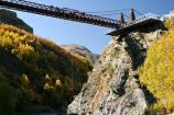 action;adventure;adventure-tourism;Autumn;bridge;bridges;bungee;bungy;bunjee;central-otago;color;colour;excitement;fall;gold;golden;historic;historical;kawarau-bridge;Kawarau-Gorge;Kawarau-River;New-Zealand;poplar;poplars;Queenstown-Road;river;rivers;season;seasonal;seasons;South-Island;tree;trees;valley;valleys;willow;willows;yellow