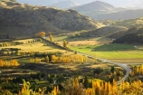 agricultural;agriculture;arrow-junction;arrowtown;autuminal;autumn;autumnal;bend;bends;central-otago;color;colors;colour;colours;corner;corners;country;countryside;deciduous;driving;fall;farm;farming;farmland;farms;field;fields;highway;highways;horticulture;leaf;leaves;meadow;meadows;new-zealand;open-road;open-roads;paddock;paddocks;pasture;pastures;poplar;poplar-tree;poplar-trees;poplars;queenstown;road;road-trip;roads;rural;south-island;straight;transport;transportation;travel;traveling;travelling;tree;trees;trip;wakatipu-basin