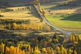 agricultural;agriculture;arrow-junction;arrowtown;autuminal;autumn;autumnal;bend;bends;central-otago;color;colors;colour;colours;corner;corners;country;countryside;deciduous;driving;fall;farm;farming;farmland;farms;field;fields;highway;highways;horticulture;leaf;leaves;meadow;meadows;new-zealand;open-road;open-roads;paddock;paddocks;pasture;pastures;poplar;poplar-tree;poplar-trees;poplars;queenstown;road;road-trip;roads;rural;south-island;straight;transport;transportation;travel;traveling;travelling;tree;trees;trip;wakatipu-basin