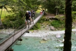 beautiful;beauty;Beech-Forest;bridge;bridges;bush;endemic;foot-bridge;foot-bridges;footbridge;footbridges;forest;forests;great-walk;green;hike;hiker;hikers;hiking;hiking-track;hiking-tracks;mt-aspiring-national-park;national-parks;native;native-bush;natives;natural;nature;New-Zealand;Nothofagus;pedestrian-bridge;pedestrian-bridges;rain-forest;rain-forests;rain_forest;rain_forests;rainforest;rainforests;river;routeburn;routeburn-track;scene;scenic;southern-beeches;swing-bridge;swing-bridges;timber;track;tracks;tramp;tramper;trampers;tramping;tree;tree-trunk;tree-trunks;trees;trek;treker;trekers;treking;trekker;trekkers;trekking;trunk;trunks;walk;walker;walkers;walking;walking-track;walking-tracks;wire-bridge;wire-bridges;wood;woods