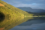 calm;Dart-Valley;Diamond-Lake;Glenorchy;N.Z.;New-Zealand;NZ;Otago;Paradise;placid;Queenstown-Region;quiet;reflection;reflections;S.I.;serene;SI;smooth;South-Is.;South-Island;Southern-Lakes-District;Southern-Lakes-Region;still;tranquil;water