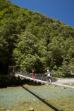 beautiful;beauty;Beech-Forest;bridge;bridges;bush;Caples-River;Caples-Valley;clean-water;clear-water;endemic;foot-bridge;foot-bridges;footbridge;footbridges;forest;forests;green;Greenstone-Track;Greenstone-Valley;hike;hiker;hikers;hiking;hiking-track;hiking-tracks;N.Z.;native;native-bush;natives;natural;nature;New-Zealand;Nothofagus;NZ;Otago;pathways;pedestrian-bridge;pedestrian-bridges;pure-water;rain-forest;rain-forests;rain_forest;rain_forests;rainforest;rainforests;river;rivers;S.I.;scene;scenic;SI;South-Is.;South-Island;southern-beeches;subtropical-rainforest;subtropical-rainforests;suspension-bridge;suspension-bridges;swing-bridge;swing-bridges;Te-Ara-Roa;Te-Araroa;Te-Araroa-Pathway;Te-Araroa-Walkway;The-Long-Pathway;The-Long-Walkway;timber;track;tracks;tramp;tramper;trampers;tramping;tramping-track;tramping-tracks;tramping-trail;tramping-trails;tree;trees;trek;treker;trekers;treking;treking-track;treking-tracks;trekker;trekkers;trekking;trekking-track;trekking-tracks;trekking-trail;trekking-trails;walk;walker;walkers;walking;walking-track;walking-tracks;walking-trail;walking-trails;walkway;walkways;wire-bridge;wire-bridges;wood;woods