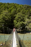 beautiful;beauty;Beech-Forest;boy;boys;bridge;bridges;brother;brothers;bush;Caples-River;Caples-Valley;child;children;clean-water;clear-water;endemic;families;family;foot-bridge;foot-bridges;footbridge;footbridges;forest;forests;girl;girls;green;Greenstone-Track;Greenstone-Valley;hike;hiker;hikers;hiking;hiking-track;hiking-tracks;kid;kids;little-boy;little-girl;mother;mothers;N.Z.;native;native-bush;natives;natural;nature;New-Zealand;Nothofagus;NZ;Otago;pathways;pedestrian-bridge;pedestrian-bridges;pure-water;rain-forest;rain-forests;rain_forest;rain_forests;rainforest;rainforests;river;rivers;S.I.;scene;scenic;SI;sibbling;sibblings;sister;sisters;small-boys;small-girls;South-Is.;South-Island;southern-beeches;subtropical-rainforest;subtropical-rainforests;suspension-bridge;suspension-bridges;swing-bridge;swing-bridges;Te-Ara-Roa;Te-Araroa;Te-Araroa-Pathway;Te-Araroa-Walkway;The-Long-Pathway;The-Long-Walkway;timber;track;tracks;tramp;tramper;trampers;tramping;tramping-track;tramping-tracks;tramping-trail;tramping-trails;tree;trees;trek;treker;trekers;treking;treking-track;treking-tracks;trekker;trekkers;trekking;trekking-track;trekking-tracks;trekking-trail;trekking-trails;walk;walker;walkers;walking;walking-track;walking-tracks;walking-trail;walking-trails;walkway;walkways;wire-bridge;wire-bridges;woman;women;wood;woods