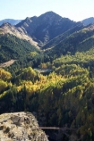 autuminal;autumn;autumn-colour;autumn-colours;autumnal;back-country;backcountry;building;buildings;Central-Otago;color;colors;colour;colours;deciduous;fall;heritage;high-altitude;high-country;highcountry;highlands;historic;historic-bridge;historic-bridges;historical;historical-bridge;historical-bridges;history;larch;larch-tree;larch-trees;Larix-decidua;N.Z.;near-Queenstown;New-Zealand;NZ;old;Otago;Queenstown;remote;remoteness;S.I.;season;seasonal;seasons;Shotover-River;SI;Skippers;Skippers-Canyon;South-Is.;South-Island;Southern-Lakes;Southern-Lakes-District;Southern-Lakes-Region;tradition;traditional;tree;trees;uplands