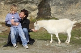 agricultural;agriculture;Animal;Animals;boy;boys;child;children;country;countryside;Deer-Park-Heights;families;family;farm;farming;farmland;farms;feeding-the-animals;feral-goat;feral-goats;field;fields;goat;goats;Kelvin-Heights;Lake-Wakatipu;Mammal;Mammals;meadow;meadows;N.Z.;Nature;New-Zealand;NZ;Otago;Outdoor;Outdoors;Outside;paddock;paddocks;pasture;pastures;Queenstown;Region;rural;S.I.;SI;South-Is;South-Is.;South-Island;Southern-Lakes;Southern-Lakes-District;Southern-Lakes-Region;The-Deer-Park;ungulate;ungulates;Wild;wild-goat;wild-goats;Wildlife;Zoology