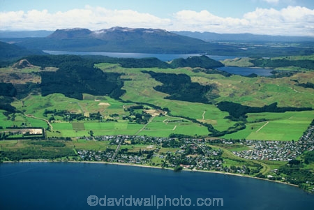 farm;farms;farming;farmland;agriculture;pasture;field;fields;grass;pine;forest;forests;forestry