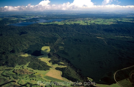 plantation;pinus-radiata;plantations;block;blocks;rural;farmland;agriculture;agricultural;aerial;aerials;paddocks;fields;field;meadow;meadows;paddock