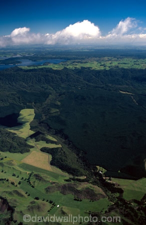 plantation;pinus-radiata;plantations;block;blocks;rural;farmland;agriculture;agricultural;aerial;aerials;paddocks;fields;field;meadow;meadows;paddock