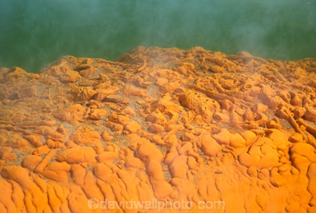 artists;colour;colours;color;colors;orange;green;sulphur;thermal;activity;hot;geothermal;volcanic;steam;spring;springs;hot_water