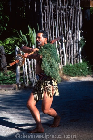 culture;maoris;performance;perform;marae;meeting-house;demonstation;live-performance;performances;cultural;maori-village;indigenous,sacred;wero;challenge