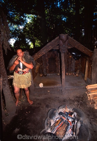 culture;maoris;performance;perform;marae;meeting-house;demonstation;live-performance;performances;cultural;maori-village;indigenous;sacred