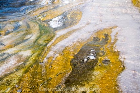 activity;algae;bay-of-plenty;color;colors;colour;colours;danger;dangerous;geothermal;holiday;holidaying;holidays;hot;muddy;N.I.;N.Z.;natural;nature;new-zealand;NI;north-is.;north-island;NZ;Orakei-Korako;Orakei-Korako-Thermal-Area;rotorua;silica-terrace;silica-terraces;Taupo;thermal;thermal-activity;thermal-algae;thermal-area;thermal-terrace;thermal-terraces;tourism;travel;traveling;travelling;vacation;vacationing;vacations;volcanic;yellow