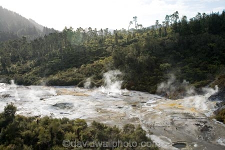 activity;bay-of-plenty;danger;dangerous;geothermal;holiday;holidaying;holidays;hot;muddy;N.I.;N.Z.;natural;nature;new-zealand;NI;north-is.;north-island;NZ;Orakei-Korako;Orakei-Korako-Thermal-Area;rotorua;silica-terrace;silica-terraces;steam;steamy;Taupo;thermal;thermal-activity;thermal-area;thermal-terrace;thermal-terraces;tourism;travel;traveling;travelling;vacation;vacationing;vacations;volcanic