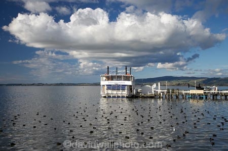 Bay-of-Plenty-region;boat;boats;calm;cloud;clouds;cloudy;excursion;lake;Lake-Rotorua;Lakeland-Queen;lakes;N.I.;N.Z.;New-Zealand;NI;North-Island;NZ;paddle;paddle-boat;paddle-boats;paddle-steam-boat;paddle-steam-boats;paddle-steamer;paddle-steamers;paddle_boat;paddle_boats;paddle_steamer;paddle_steamers;paddleboat;paddleboats;paddlesteamer;paddlesteamers;placid;quiet;reflection;reflections;Rotorua;serene;sky;smooth;steam-boat;steam-boats;steam_boat;steam_boats;steamboat;steamboats;steamer;steamers;still;tourism;tourist;tourists;tradition;traditional;tranquil;travel;vessel;vessels;water;watercraft;waterfront