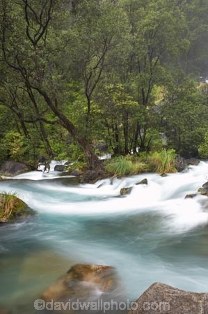 cascade;cascades;Eastern-Bay-of-Plenty;Kawerau;Lake-Tarawera-Scenic-Reserve;N.I.;N.Z.;New-Zealand;NI;North-Is;North-Island;NZ;rapid;rapids;Tarawera-River;white-water;white_water;whitewater