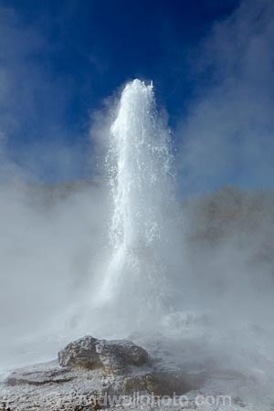 Bay-of-Plenty-Region;fountain;fountains;geothermal;geothermal-activity;geyser;geysers;hot;hot-water;lady-knox-geyser;N.I.;N.Z.;New-Zealand;NI;North-Is;North-Island;Nth-Is;NZ;pressure;Rotorua;steam;thermal;thermal-activity;thermal-area;volcanic;volcanic-activity;Wai_o_tapu;Wai_o_tapu-Reserve;Wai_o_tapu-Thermal-Reserve;Wai_o_tapu-Thermal-Wonderland;Waiotapu;Waiotapu-Reserve;Waiotapu-Thermal-Reserve;Waiotapu-Thermal-Wonderland;water