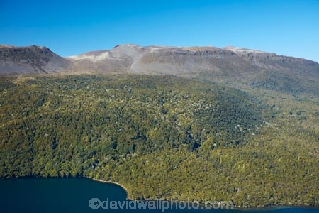 aerial;aerial-image;aerial-images;aerial-photo;aerial-photograph;aerial-photographs;aerial-photography;aerial-photos;aerial-view;aerial-views;aerials;Bay-of-Plenty-Region;bush;forest;forests;lake;Lake-Tarawera;lakes;Mount-Tarawera;Mt-Tarawera;N.I.;N.Z.;native-bush;native-forest;native-forests;native-tree;native-trees;native-woods;natural;nature;New-Zealand;NI;North-Is;North-Island;Nth-Is;NZ;Rotorua;tree;trees;volcanic;volcano;volcanoes;wood;woods