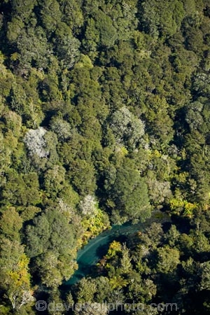 aerial;aerial-image;aerial-images;aerial-photo;aerial-photograph;aerial-photographs;aerial-photography;aerial-photos;aerial-view;aerial-views;aerials;Bay-of-Plenty-Region;bush;forest;forests;N.I.;N.Z.;native-bush;native-forest;native-forests;native-tree;native-trees;native-woods;natural;nature;New-Zealand;NI;North-Is;North-Island;Nth-Is;NZ;river;rivers;Rotorua;Tarawera-River;tree;trees;wood;woods