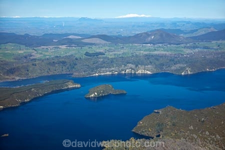 aerial;aerial-image;aerial-images;aerial-photo;aerial-photograph;aerial-photographs;aerial-photography;aerial-photos;aerial-view;aerial-views;aerials;Banded-Is;Banded-Island;Bay-of-Plenty-Region;bush;forest;forests;lake;Lake-Rotomahana;lakes;N.I.;N.Z.;native-bush;native-forest;native-forests;native-tree;native-trees;native-woods;natural;nature;New-Zealand;NI;North-Is;North-Island;Nth-Is;NZ;Patiti-is;Patiti-Island;Rotorua;tree;trees;wood;woods