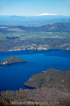 aerial;aerial-image;aerial-images;aerial-photo;aerial-photograph;aerial-photographs;aerial-photography;aerial-photos;aerial-view;aerial-views;aerials;Banded-Is;Banded-Island;Bay-of-Plenty-Region;bush;forest;forests;lake;Lake-Rotomahana;lakes;N.I.;N.Z.;native-bush;native-forest;native-forests;native-tree;native-trees;native-woods;natural;nature;New-Zealand;NI;North-Is;North-Island;Nth-Is;NZ;Patiti-is;Patiti-Island;Rotorua;tree;trees;wood;woods