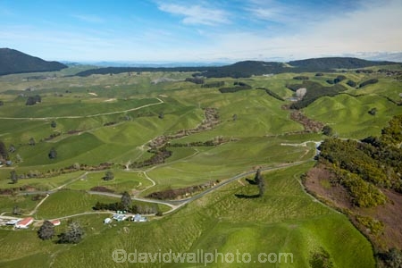 aerial;aerial-image;aerial-images;aerial-photo;aerial-photograph;aerial-photographs;aerial-photography;aerial-photos;aerial-view;aerial-views;aerials;agricultural;agriculture;Bay-of-Plenty-Region;country;countryside;farm;farming;farmland;farms;field;fields;green;meadow;meadows;N.I.;N.Z.;New-Zealand;NI;North-Is;North-Island;Nth-Is;NZ;paddock;paddocks;pasture;pastures;Rotorua;rural