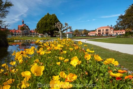 architecture;bath-house;Bay-of-Plenty-Region;bloom;blooming;blooms;Blue-Bath;Blue-Baths;building;buildings;floral;flower;flower-bed;flower-beds;flower-garden;flower-gardens;flowers;garden;gardens;Government-Gardens;heritage;historic;historic-building;historic-buildings;historical;historical-building;historical-buildings;history;N.I.;N.Z.;New-Zealand;NI;North-Is;North-Island;Nth-Is;NZ;old;park;parks;pond;ponds;public-flower-garden;public-garden;public-gardens;Rotorua;Rotorua-Museum;Spanish-mission-style;Spanish-mission_style-bath-house;tradition;traditional;yellow;yellow-flowers