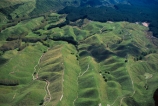 plantation;pinus-radiata;plantations;block;blocks;rural;farmland;agriculture;agricultural;aerial;aerials;paddocks;fields;field;meadow;meadows;paddock