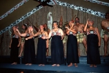 culture;maoris;performance;perform;marae;meeting-house;demonstation;live-performance;performances;cultural;maori-village;indigenous;sacred