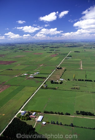 spring;grass;green;sheep;lamb;lambs;farm;farms;farming;paddock;paddocks;field;fields;pasture;pastures;meadow;meadows;agriculture;rural;plain;plains;verdant;lush;fence;fences;fenceline