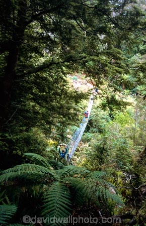 bridges;bridge;wood;wire;wooden;track;hiking;hike;tramp;tramping;hikers;trampers;cross;bush;forest;Cross;Crossing;Outdoor;Outdoors;Outside