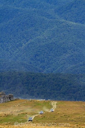 4wd;4wd-track;4wd-tracks;4wds;4wds;4x4;4x4s;4x4s;7334b;back-country;backcountry;Beech-Forest;bush;forest;forests;four-by-four;four-by-fours;four-wheel-drive;four-wheel-drives;high-altitude;high-country;Highcountry;highlands;island;man;N.Z.;native-bush;new;new-zealand;Nothofagus;NZ;old;range;remote;remoteness;S.I.;SI;south;South-Is;South-Island;Southland;sports-utility-vehicle;sports-utility-vehicles;Sth-Is;suv;suvs;tree;trees;tussock;tussocks;upland;uplands;vehicle;vehicles;Waikaia-Bush-Rd;Waikaia-Bush-Road;Waikaia-Bush-Track;Waikaia-Valley;zealand