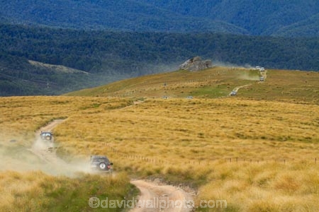 4wd;4wd-track;4wd-tracks;4wds;4wds;4x4;4x4s;4x4s;7344a;back-country;backcountry;Beech-Forest;bush;forest;forests;four-by-four;four-by-fours;four-wheel-drive;four-wheel-drives;high-altitude;high-country;Highcountry;highlands;island;man;N.Z.;native-bush;new;new-zealand;Nothofagus;NZ;old;range;remote;remoteness;S.I.;SI;south;South-Is;South-Island;Southland;sports-utility-vehicle;sports-utility-vehicles;Sth-Is;suv;suvs;tree;trees;tussock;tussocks;upland;uplands;vehicle;vehicles;Waikaia-Bush-Rd;Waikaia-Bush-Road;Waikaia-Bush-Track;Waikaia-Valley;zealand