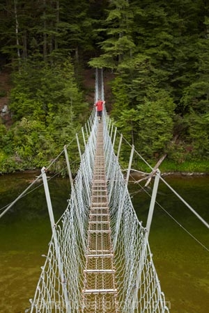 beech-forest;bridge;bridges;bush;foot-bridge;foot-bridges;footbridge;footbridges;forest;hiking-track;hiking-tracks;male;man;N.Z.;native-bush;New-Zealand;NZ;pedestrian-bridge;pedestrian-bridges;people;person;Piano-Flat;river;rivers;S.I.;SI;South-Is;South-Island;Southland;Sth-Is;suspension-bridge;suspension-bridges;swing-bridge;swing-bridges;track;tracks;Waikaia-Forest;Waikaia-River;Waikaia-Valley;walker;walkers;walking-track;walking-tracks;wire-bridge;wire-bridges