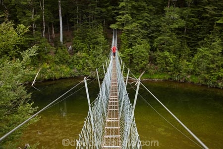 beech-forest;bridge;bridges;bush;foot-bridge;foot-bridges;footbridge;footbridges;forest;hiking-track;hiking-tracks;male;man;N.Z.;native-bush;New-Zealand;NZ;pedestrian-bridge;pedestrian-bridges;people;person;Piano-Flat;river;rivers;S.I.;SI;South-Is;South-Island;Southland;Sth-Is;suspension-bridge;suspension-bridges;swing-bridge;swing-bridges;track;tracks;Waikaia-Forest;Waikaia-River;Waikaia-Valley;walker;walkers;walking-track;walking-tracks;wire-bridge;wire-bridges