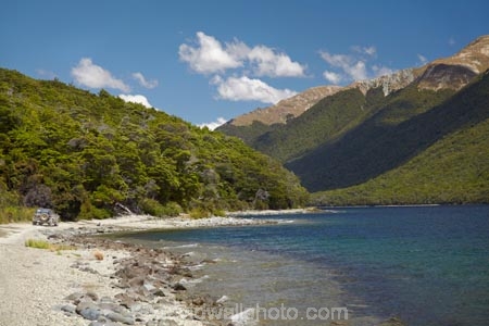 4wd;4wds;4wds;4x4;4x4s;4x4s;beautiful;beauty;Beech-Forest;bush;endemic;forest;forests;four-by-four;four-by-fours;four-wheel-drive;four-wheel-drives;green;lake;lakes;Livingstone-Mountains;Mavora-Lakes;Mavora-Track;Mavora-Walkway;N.Z.;native;native-bush;natives;natural;nature;New-Zealand;Nissan-Patrol;Nissan-Patrols;Nissan-Safari;Nissan-Safaris;Nissans;North-Mavora-Lake;Nothofagus;NZ;S.I.;scene;scenic;shoreline;shorelines;SI;South-Is;South-Island;southern-beeches;Southland;sports-utility-vehicle;sports-utility-vehicles;Sth-Is;suv;suvs;timber;tree;trees;vehicle;vehicles;wood;woods