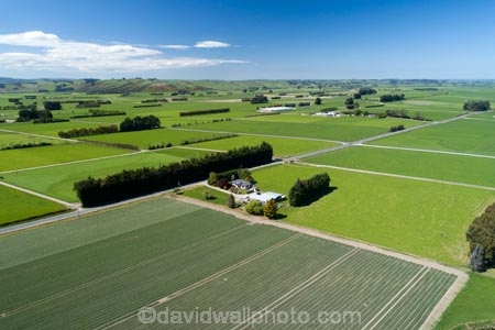 aerial;Aerial-drone;Aerial-drones;aerial-image;aerial-images;aerial-photo;aerial-photograph;aerial-photographs;aerial-photography;aerial-photos;aerial-view;aerial-views;aerials;agricultural;agriculture;country;countryside;crop;crops;Drone;Drones;Edendale;farm;farming;farmland;farms;fertile;field;fields;green;green-fields;horticulture;lush;meadow;meadows;N.Z.;New-Zealand;NZ;paddock;paddocks;pasture;pastures;Quadcopter-aerial;Quadcopters-aerials;rural;S.I.;season;seasonal;seasons;shelter-belt;shelter-belts;shelter_belt;shelter_belts;shelterbelt;shelterbelts;SI;South-Is;South-Island;Southland;spring;spring-time;spring_time;springtime;U.A.V.-aerial;UAV-aerials;wind-break;wind-breaks;wind_break;wind_breaks;windbreak;windbreaks