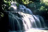 moss;wet;water;waterfall;waterfalls;water-fall;water-falls;stream;streams;brook;brooks;creek;creeks;nature;natural;scene;scenic;green;color;colors;colours;colour;light;sunlight;light-ray;cascade;cascades;Southern-Scenic-Route