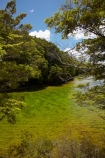 beautiful;beauty;Beech-Forest;bush;clean-water;clear-water;endemic;forest;forests;green;Mararoa-River;Mavora-Lakes;N.Z.;native;native-bush;natives;natural;nature;New-Zealand;Nothofagus;NZ;pure-water;river;rivers;S.I.;scene;scenic;SI;South-Is;South-Island;South-Mavora-Lake;southern-beeches;Southland;Sth-Is;timber;tree;trees;wood;woods