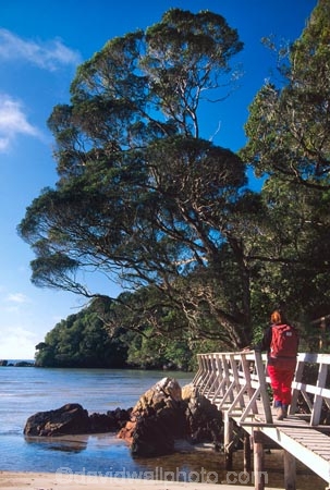 backpack;bridge;bridges;brook;brooks;creek;creeks;forest;forestry;forests;great-walk;green;hike;hiker;hikers;hiking;lush;native-bush;pack;rivers;stream;streams;tracks;tramp;tramper;trampers;tramping;walk;walker;walkers;walking;walks